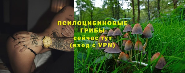 PSILOCYBIN Алексеевка